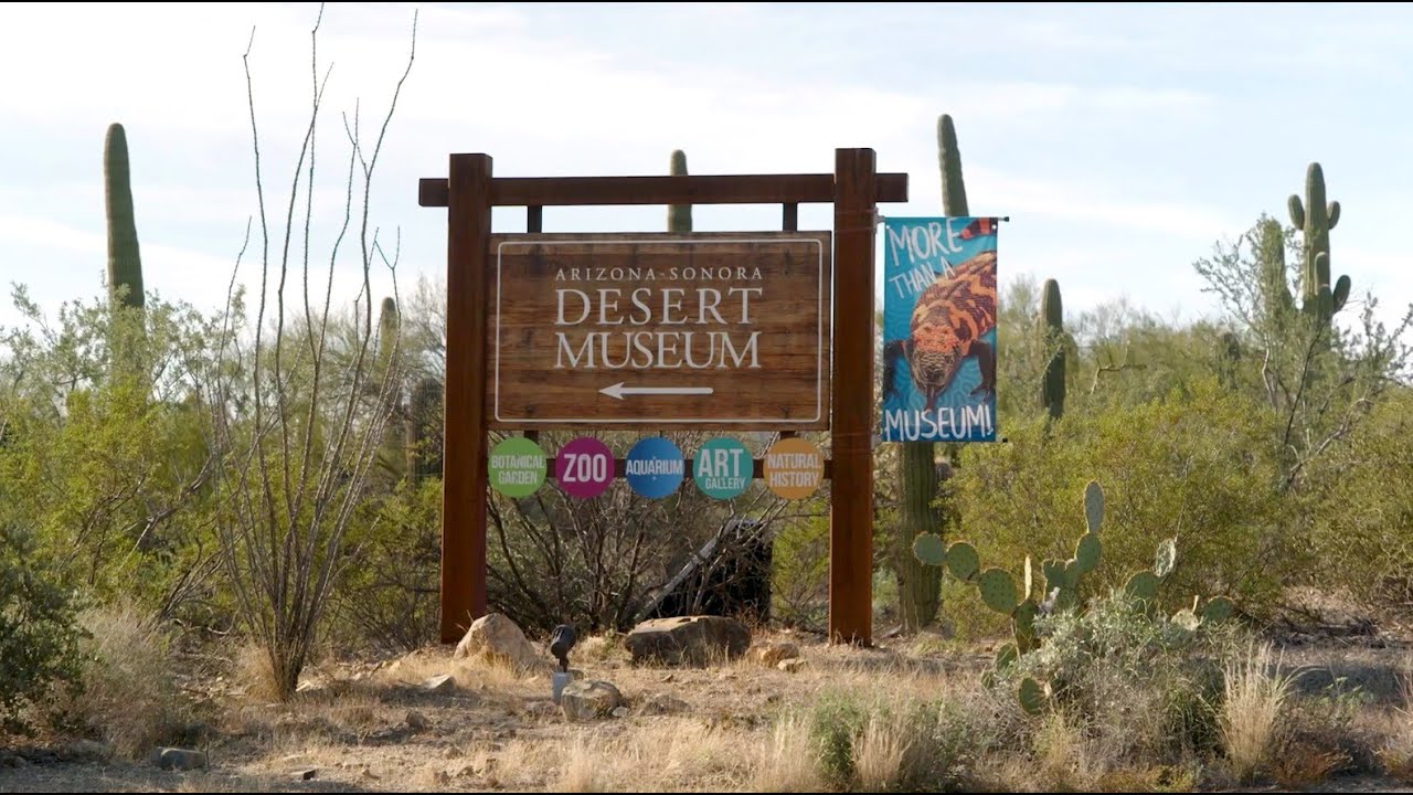 Sonoran Desert Museum